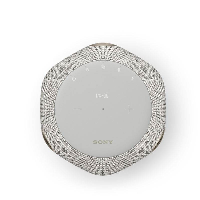 Sony SRS-RA3000, šedá