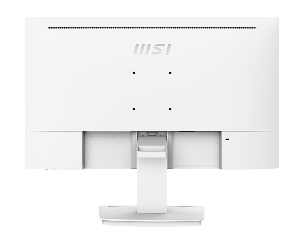 MSI PRO MP243W