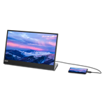 15,6" Lenovo L15 (66E4UAC1WL)