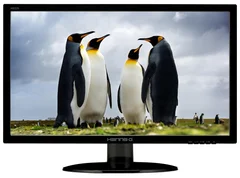 22" HANNspree HE225ANB