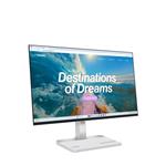 23,8" Lenovo L24D-4C