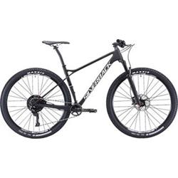 29" SILVERBACK 2019 Superspeed 1.0 - 20,5"/L - raw carbon/ arctic white/ aston black