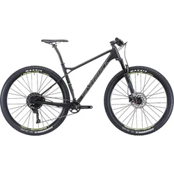 29" SILVERBACK 2019 Superspeed 2.0 - 16,5"/S - raw carbon/ spring lime/ gunmetal