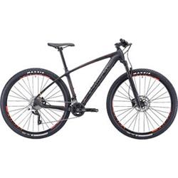 29"  SILVERBACK 2020 Storm - 17,5" - raw carbon/ hot red/ aston black