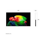 48" LG OLED48B65LA (2026)