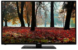 49" Orava LT-1210 (FHD)