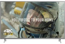 49" Panasonic TX-49FX613E (UHD)
