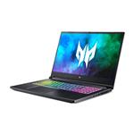 Acer Predator Helios 300 (PH317-55-790N) (NH.QB7EC.007)