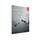 ADOBE Acrobat Standard XI