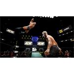 AEW Fight Forever