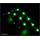 AKASA Vegas LED pásek, 15xLED,12V, 60cm, zelená