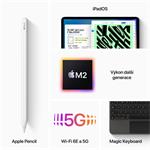 Apple iPad Pro M2 2022 11" Wi-Fi+Cellular 128GB Space Grey