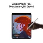 Apple iPad Pro M4 2024 11" Wi-Fi + Cellular 1TB strieborný (MVW63HC/A)