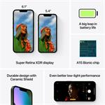 Apple iPhone 13 128GB Green (mngk3cn/a)