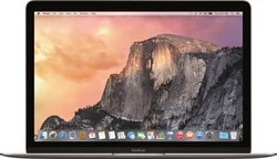 Apple MacBook 12" šedý