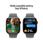 Apple Watch Series 10 GPS + Cellular 46mm Natural Titanium Case with Stone Grey Sport Band - M/L (MWYA3QC/A)