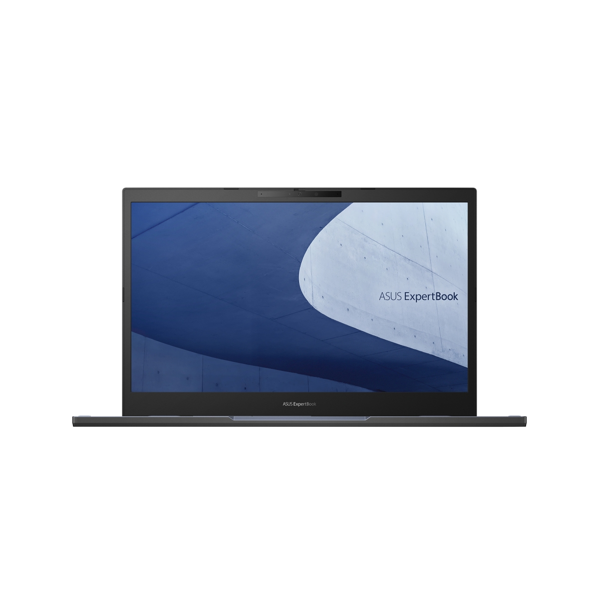 ASUS ExpertBook B2 B2502CBA-BQ0236 Black