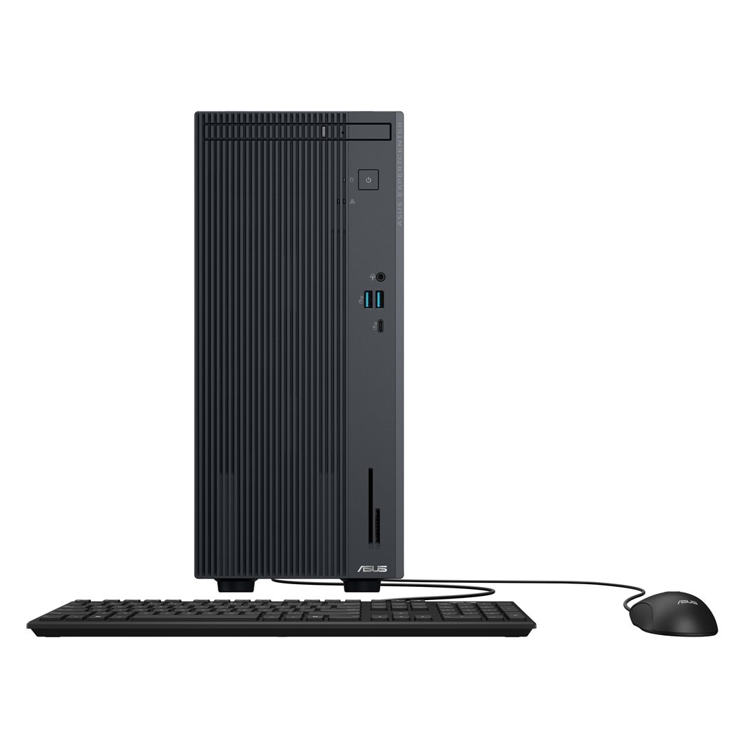 ASUS ExpertCenter P500 Mini Tower P500MV-13420H255X