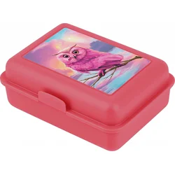 BAAGL Box na svačinu Sova