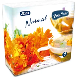 Big Soft ubrousky Normal 33 x 33 cm, 1 vrst.