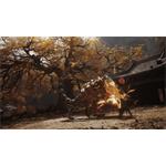 Black Myth Wukong