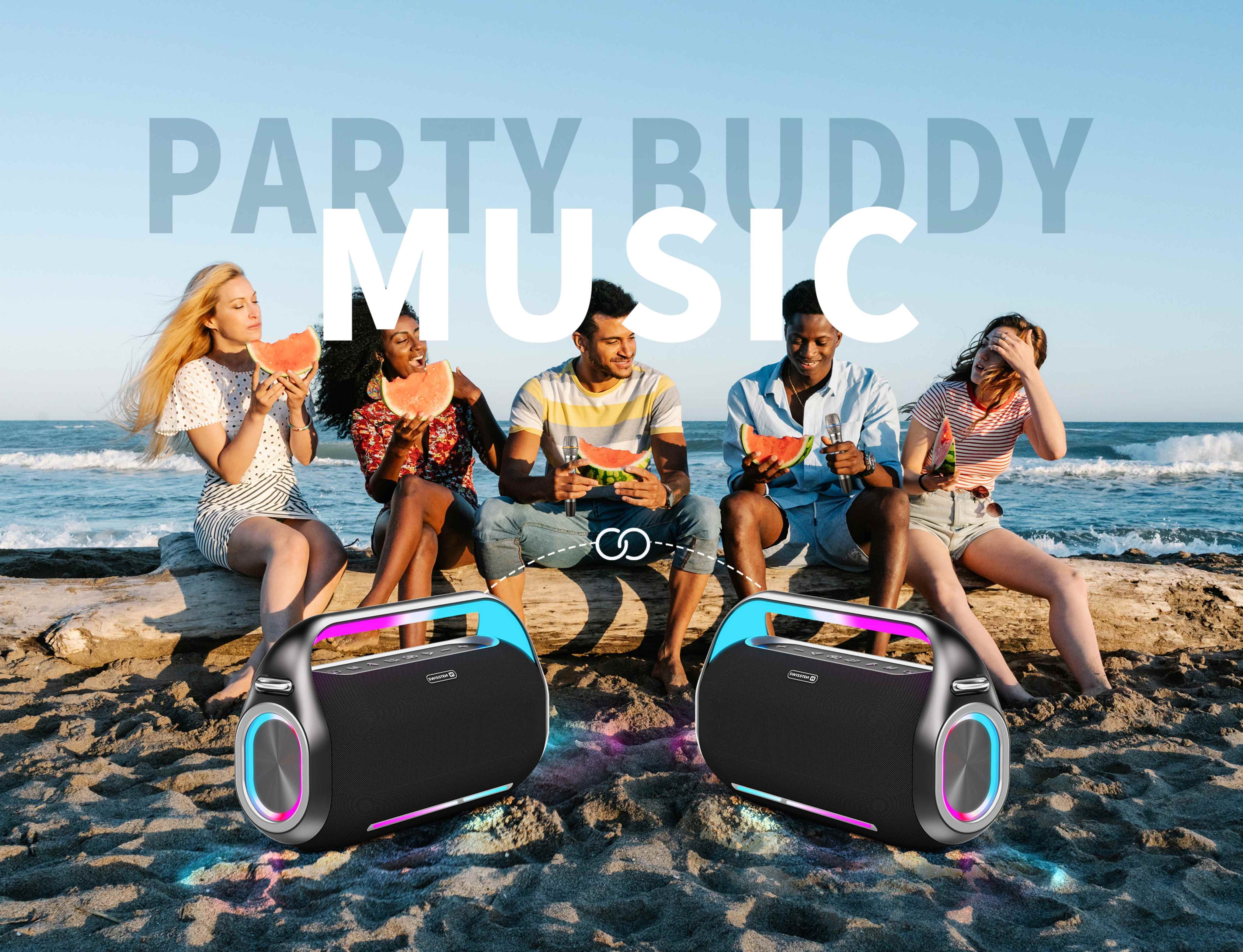 Bluetooth reproduktor Swissten Harmony 300 W, čierny