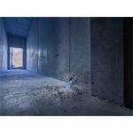 BOSCH GLM 50-27 CG (0.601.072.U01)