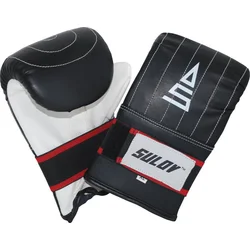 Box rukavice pytlovky SULOV  DX, pár, vel.L