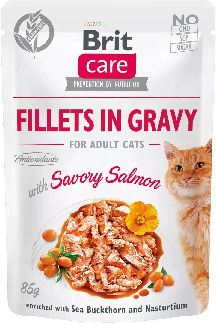 BRIT Care Filety v omáčke Savory Salmon 85g