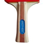 BROTHER G1713 Pálka na stolní tenis 3-star