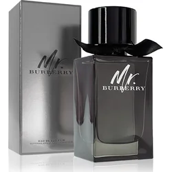 Burberry Mr. Burberry EdP 100 ml Pre mužov