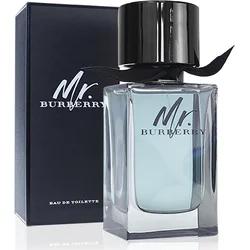 Burberry Mr. Burberry EdT 100 ml Pre mužov