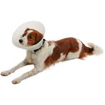 Buster Límec ochranný neprůhledný Classic Collar12,5cm