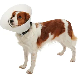 Buster Límec ochranný neprůhledný Classic Collar12,5cm