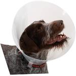 Buster Límec ochranný plastový Classic Collar 10cm