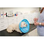 Buster Límec ochranný Soft Flex Collar 15cm