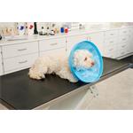 Buster Límec ochranný Soft Flex Collar 25cm