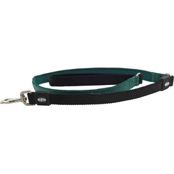 Buster Vodítko Neoprene Bungee L/XL 180cm/25mm zelené