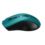 CANYON myš optická bezdrôtová CNE-CMSW05G