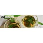 Clatronic WKR 3624