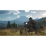 Days Gone elektronická licence