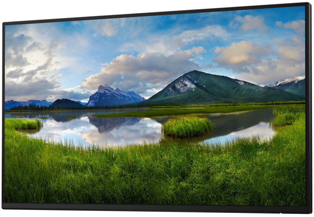 DELL P2425H (210-BMTB) - BEZ STOJANA