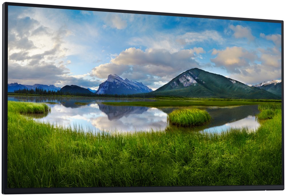 DELL P2725H (210-BMGD) - BEZ STOJANU