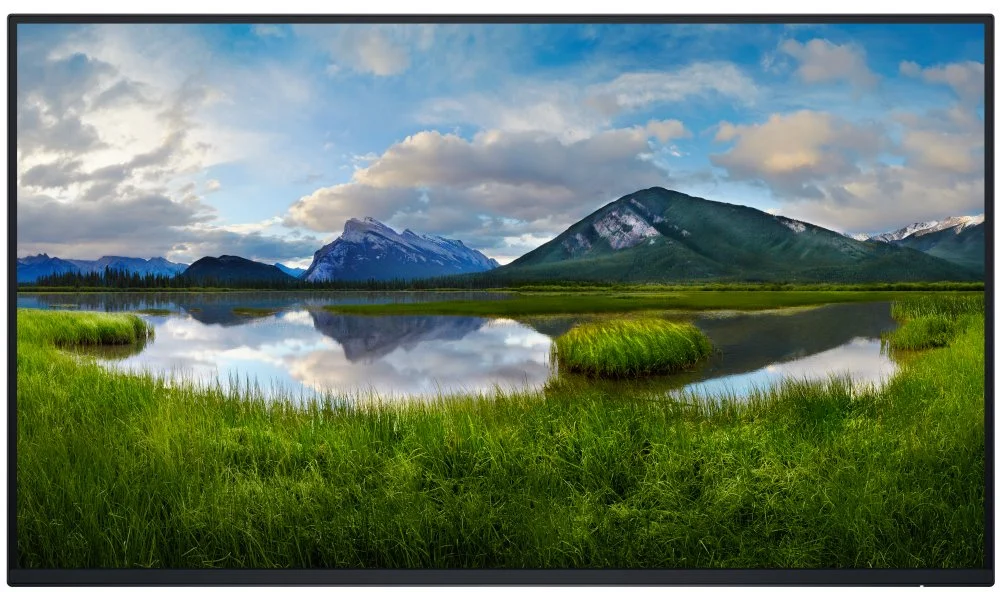 DELL P2725H (210-BMGD) - BEZ STOJANU