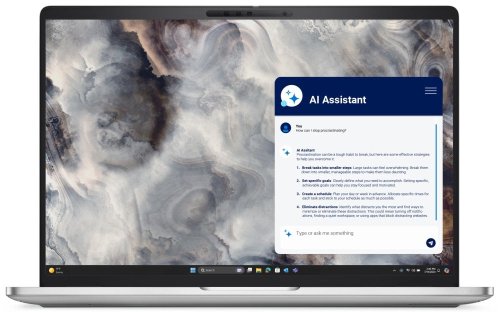 DELL Pro 16 Plus PB16250 (1WRWF)