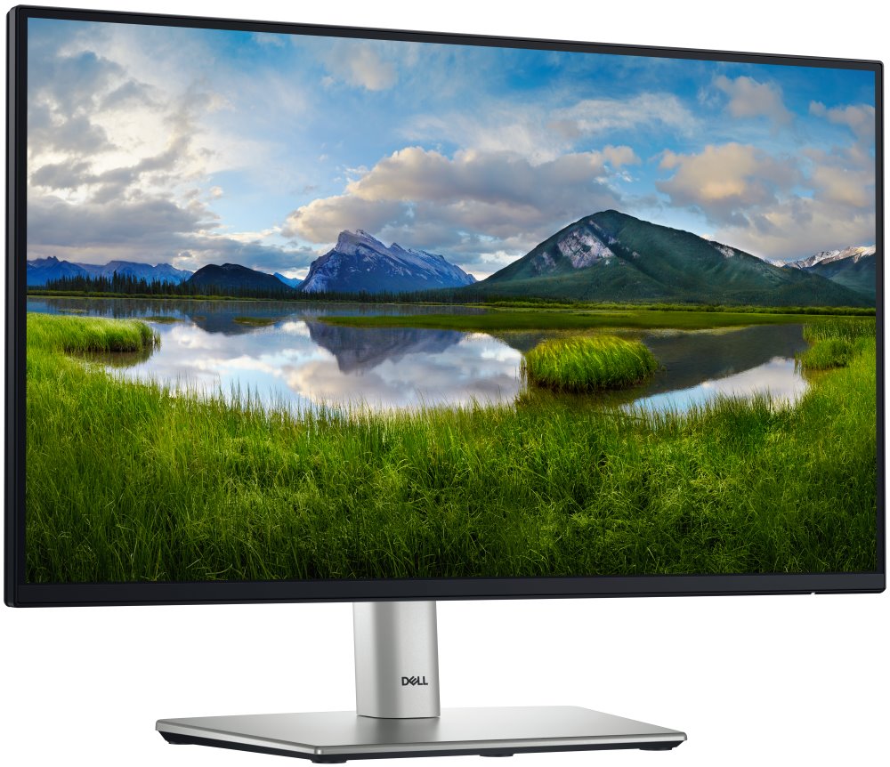 DELL Professional P2225H (210-BMHD)