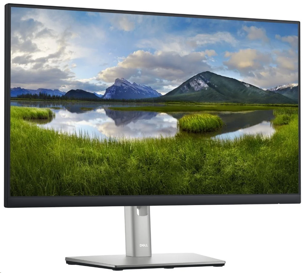 DELL Professional P2422HE (210-BBBG)
