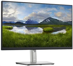 DELL Professional P2422HE (210-BBBG)