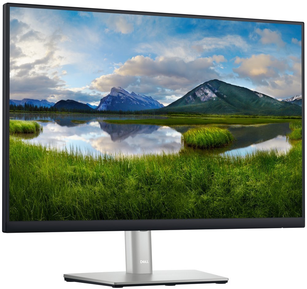 DELL Professional P2423 (210-BDFS)