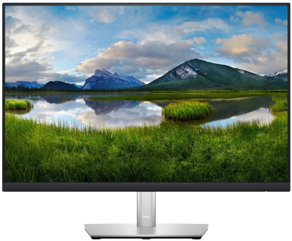 DELL Professional P2423 (210-BDFS)
